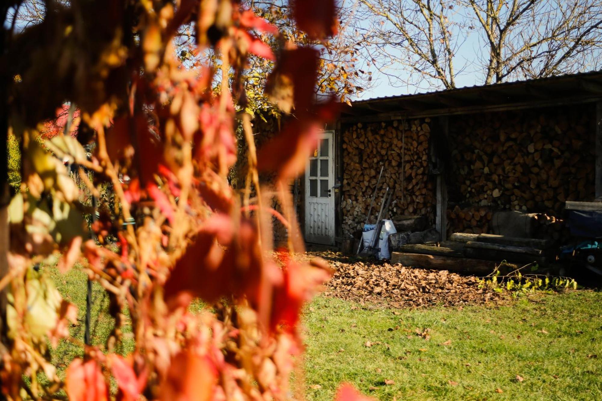 Soltysowka Villa Wólka Exteriör bild